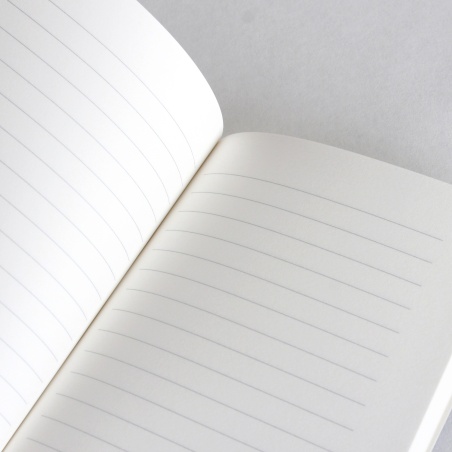 Petit carnet Dattes d'Algérie Alizée Cayla X Quartier Libre