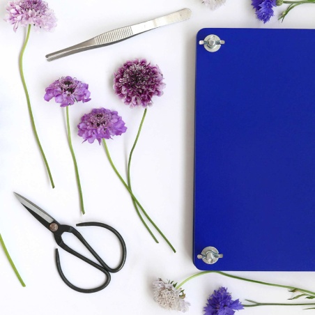 Kit de fleurs séchées Flower Press Printworks