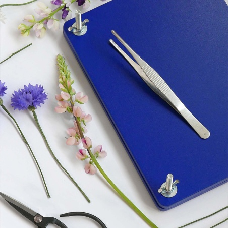 Kit de fleurs séchées Flower Press Printworks