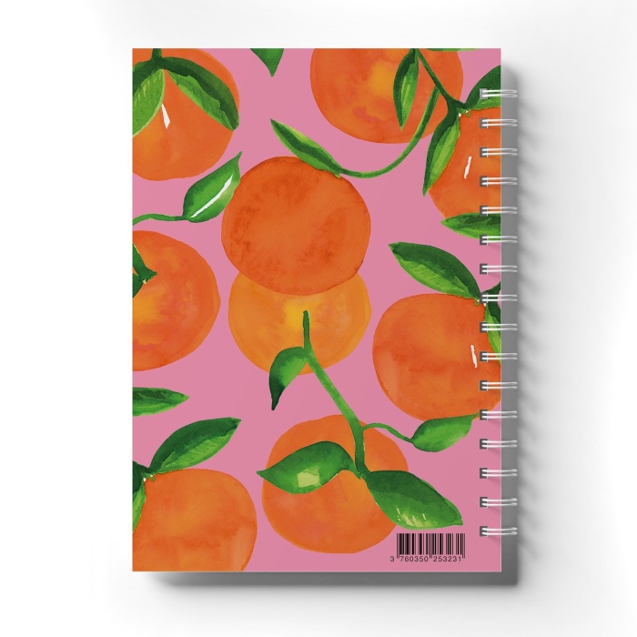 Carnet de Recettes Oranges Quartier Libre
