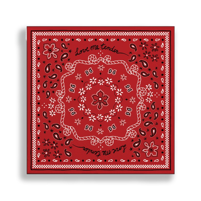 Set de 20 serviettes en papier Bandana