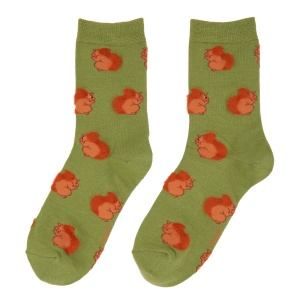 Chaussettes Ecureuil Coucou...