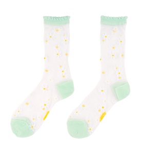 Chaussettes transparentes...