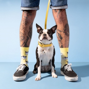 Chaussettes French Bulldog...