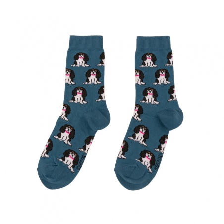 Chaussettes Cavalier King Charles Coucou Suzette