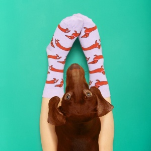 Chaussettes Teckel Coucou...