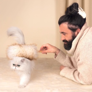 Pince à cheveux Chat Persan...