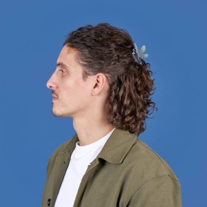 Pince à cheveux Libellule...