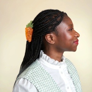 Pince à cheveux Carotte...