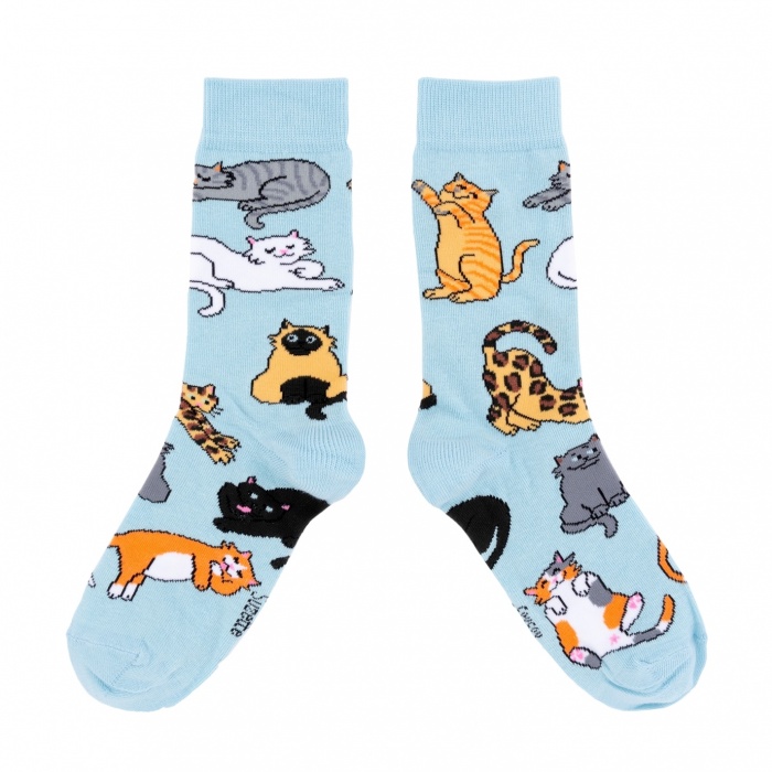 Socquettes chaton sortant d'un pantalon ! Chaussettes chat courtes