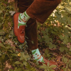 Chaussettes Châtaignes...