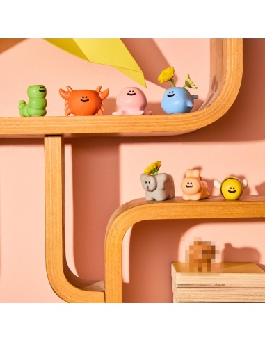 Surprise Box Food Animal Fluid Market