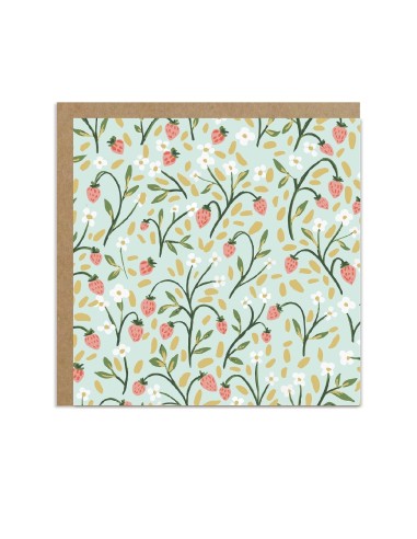 Coffret de cartes Maison One Canoe Two Paper