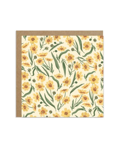 Coffret de cartes Maison One Canoe Two Paper