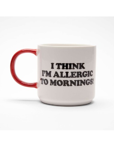 Mug Peanuts Snoopy Magpie