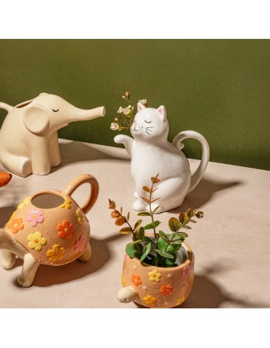 Carafe Chat Sass & Belle