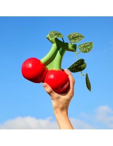 Vase Cerise Fluid Market