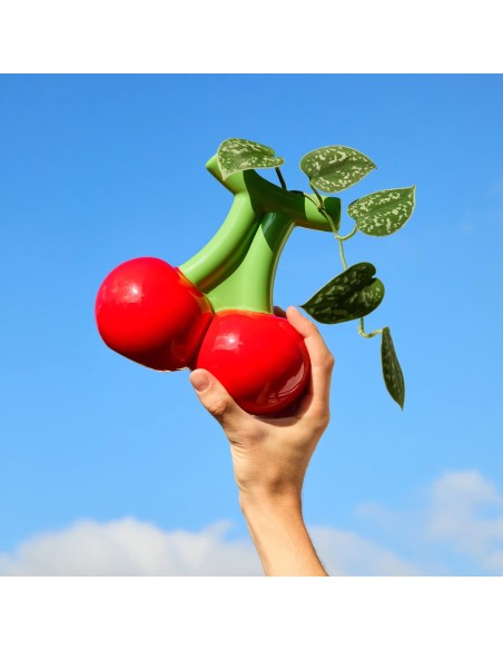 Vase Cerise Fluid Market