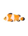 Barrette Poisson Clown Coucou Suzette