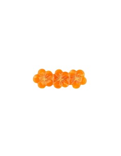 Barrette Capucine Coucou Suzette