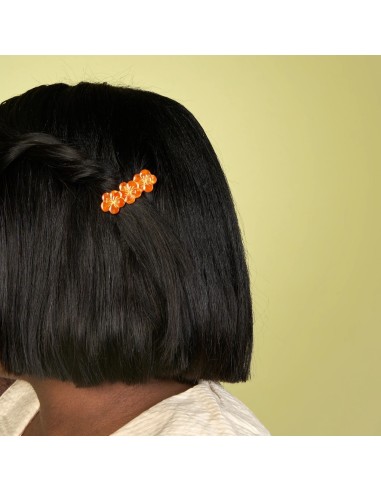 Barrette Capucine Coucou Suzette