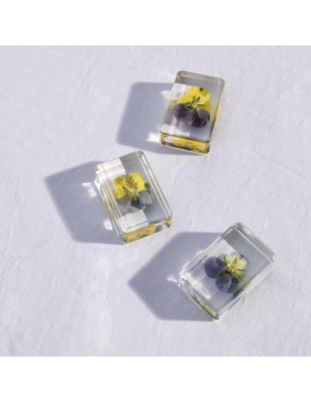 Fleur de Pensée violette &Klevering