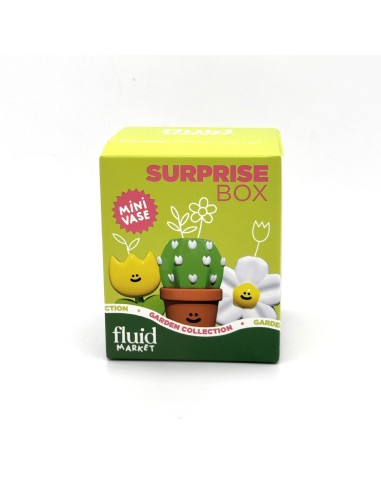 Surprise Box Garden Fluid Market