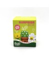 Surprise Box Garden Fluid Market