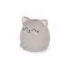 Maxi gomme Chat Legami