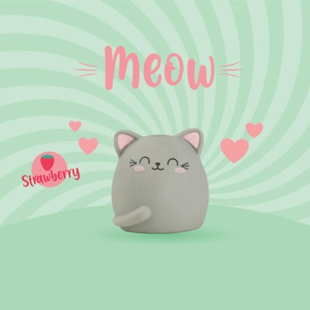 Maxi gomme Chat Legami