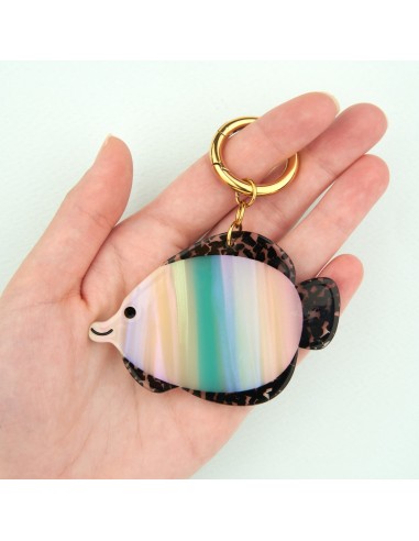Charm's Poisson tropical Coucou Suzette