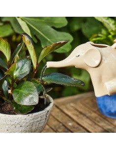 Carafe Éléphant Sass & Belle 2