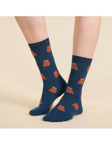 Chaussettes Hibou Coucou Suzette