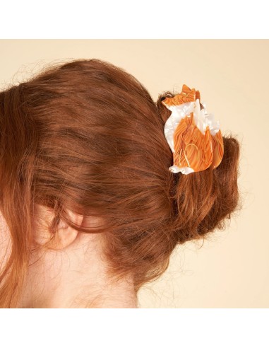 Pince à cheveux Renard Coucou Suzette
