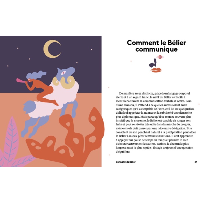 Livre astrologique Stella Andromeda